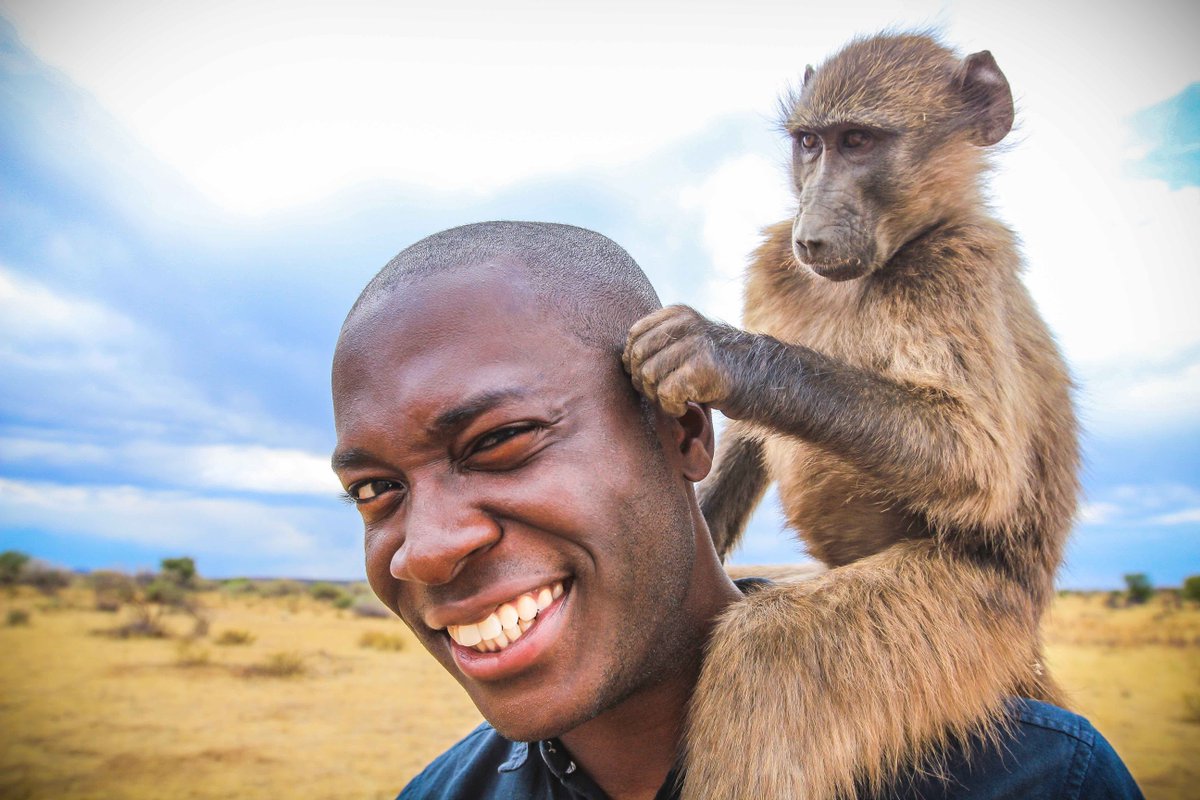 WildSafariShow's tweet photo. 1 day to go, see you tomorrow. Don’t miss it! The show is packed with features and inspirational talks.
Younger visitors, make sure to get there early to say hello to Rushenya, the full-size animatronic Mountain Gorilla!
Visit >> https://t.co/P5FEIBgLDT
#WSTS19 #Willdife https://t.co/3YX8R07SYe