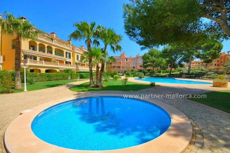 PartnerMallorca's tweet image. Красивая квартира в элитном жилом комплексе Цена: 315.000 € #Mallorca #Puigderros #Palmademallorca #пальмадемайорка #partnermallorca
partner-mallorca.com/ru/name/data/g…