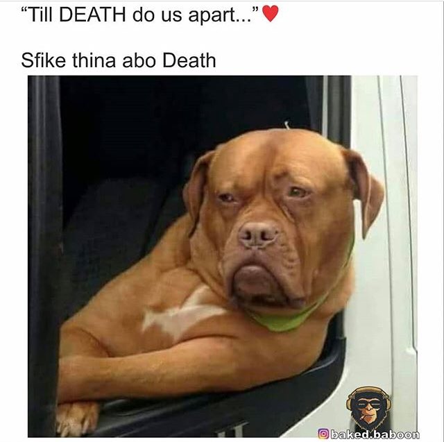 LwandaDuma's tweet photo. 🤣🤣🤣🤣 https://t.co/g81QfW5J22