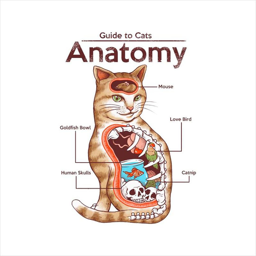_CloudCity7's tweet photo. Anatomy Of A Cat by Vincent Trinidad. Get 15% off your first order when you subscribe to our mailing list at https://t.co/BPKJTrenx8 | #cloudcity7

#cat #kitty #anatomyofacat #art #design #fanart #sellart #sellartonline #fanarttshirts #fanartapparel #menswear #womenswear https://t.co/uFhjTuRqNb