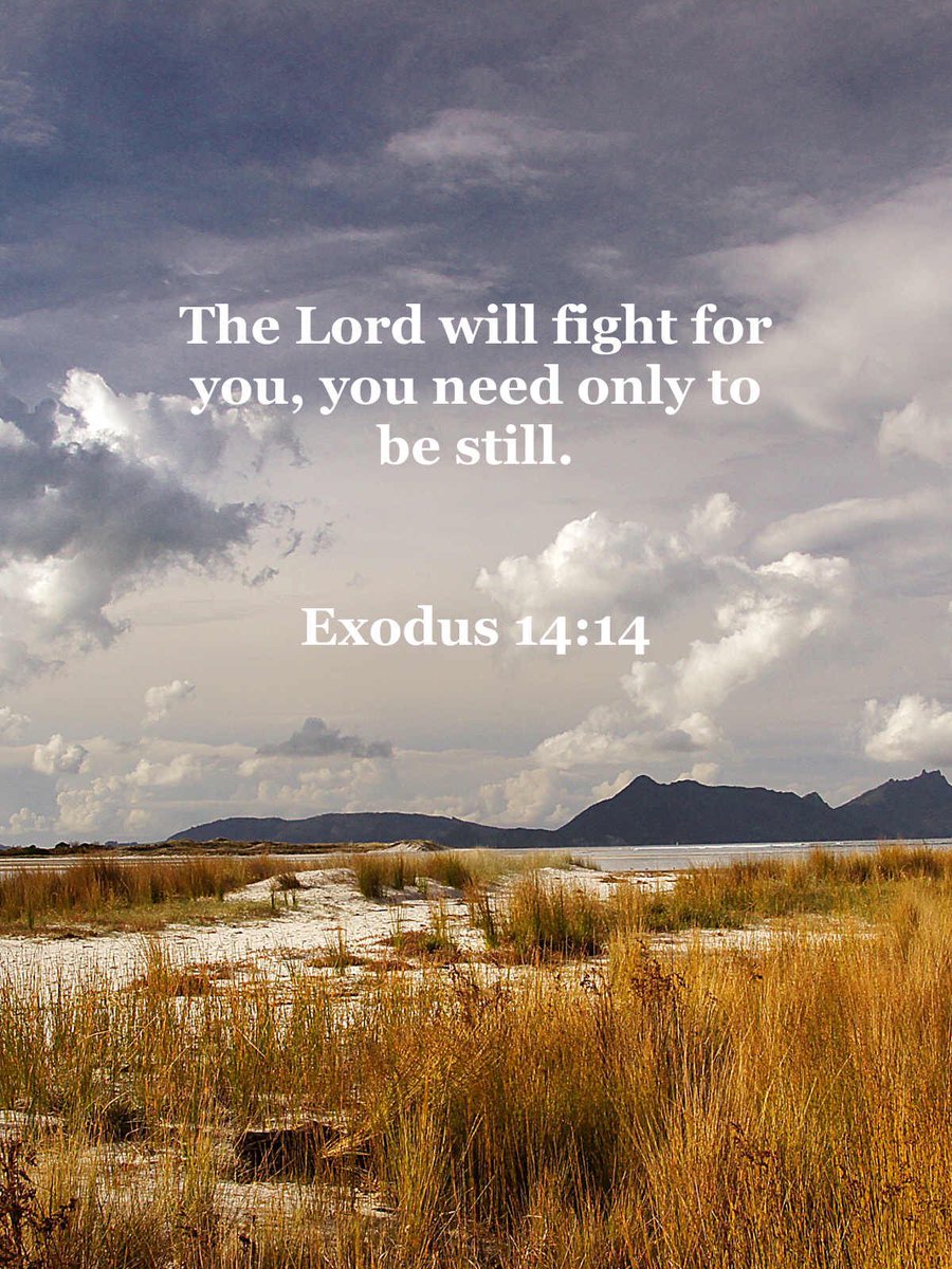 lori61140613's tweet photo. Found this verse using Bible Verses app - https://t.co/TokXkhGT1N https://t.co/n1l5Sv80xm
