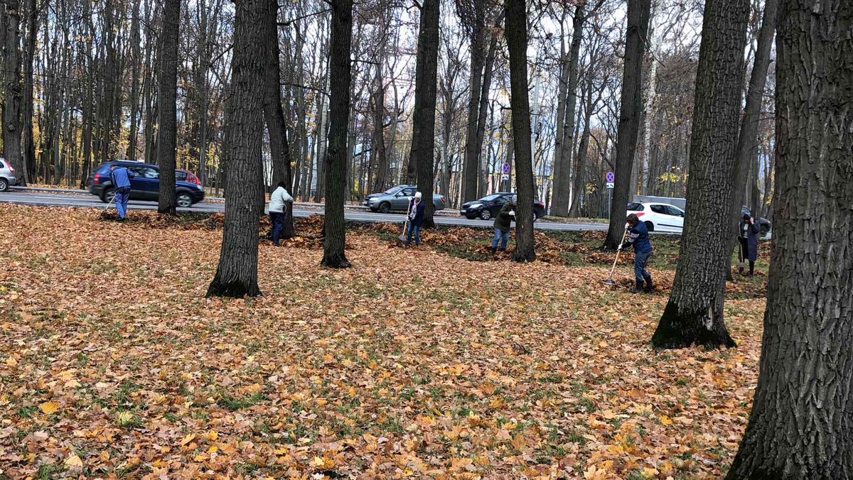 Сотрудники парка приводят в порядок Олимпийскую аллею. Чтобы весной газон с зелёной травой радовал посетителей аллеи.