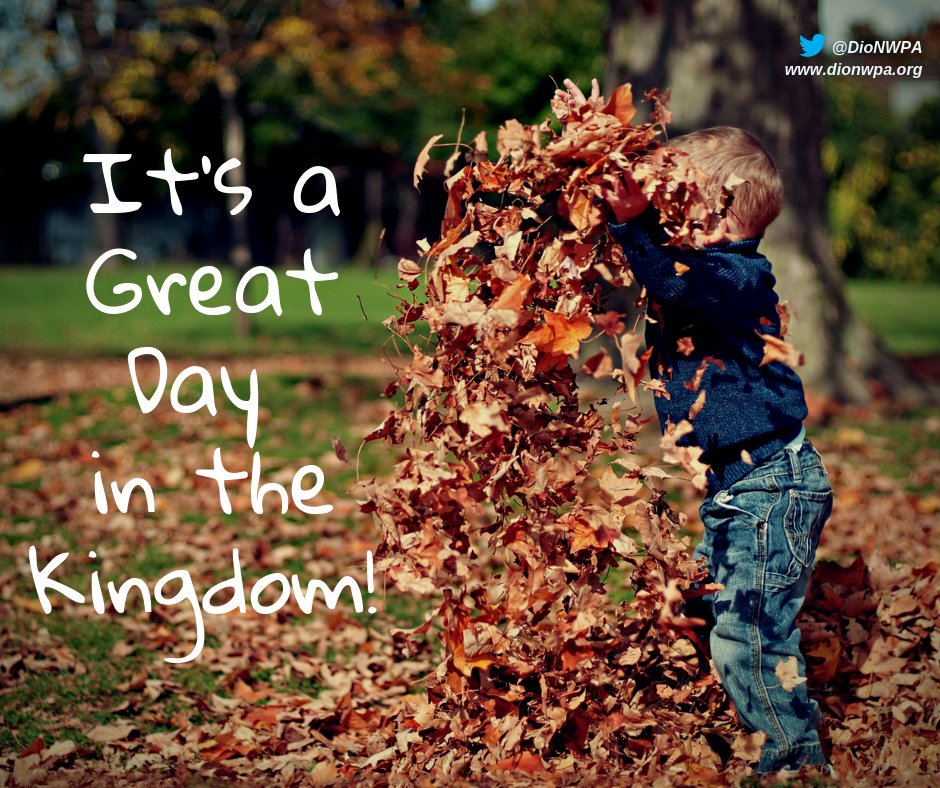 It's a Great Day in the Kingdom!