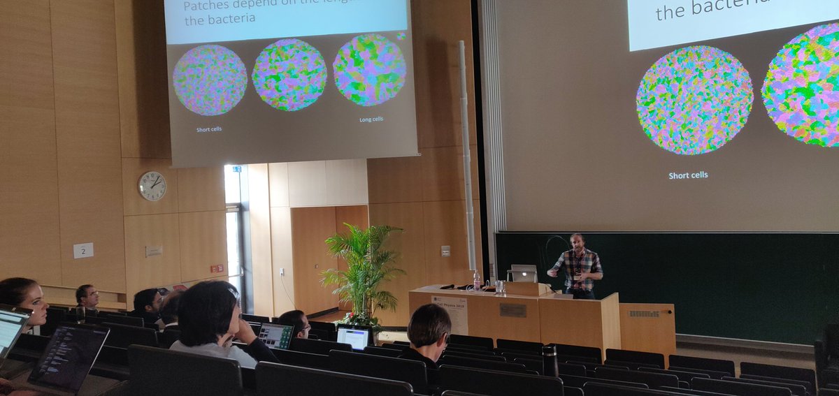Pau Guillamat (@pauguillamat) on Twitter photo <a href="/PearceDJG/">Daniel Pearce</a> from K.Kruse's group <a href="/UNIGEnews/">Université de Genève</a> rocking the #cellphysics2019 with buckling in bacterial nematics! #activematter <a href="/PearceDJG/">Daniel Pearce</a> from K.Kruse's group <a href="/UNIGEnews/">Université de Genève</a> rocking the #cellphysics2019 with buckling in bacterial nematics! #activematter