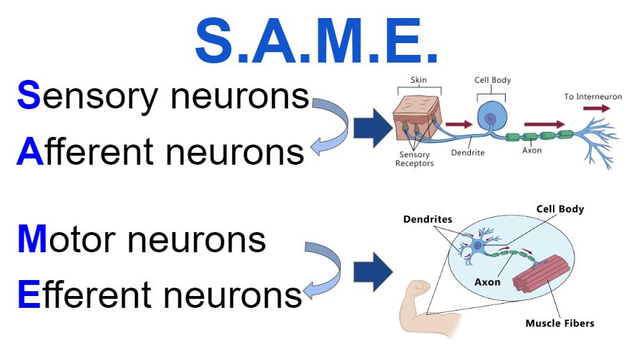 Psych_Review's tweet image. 