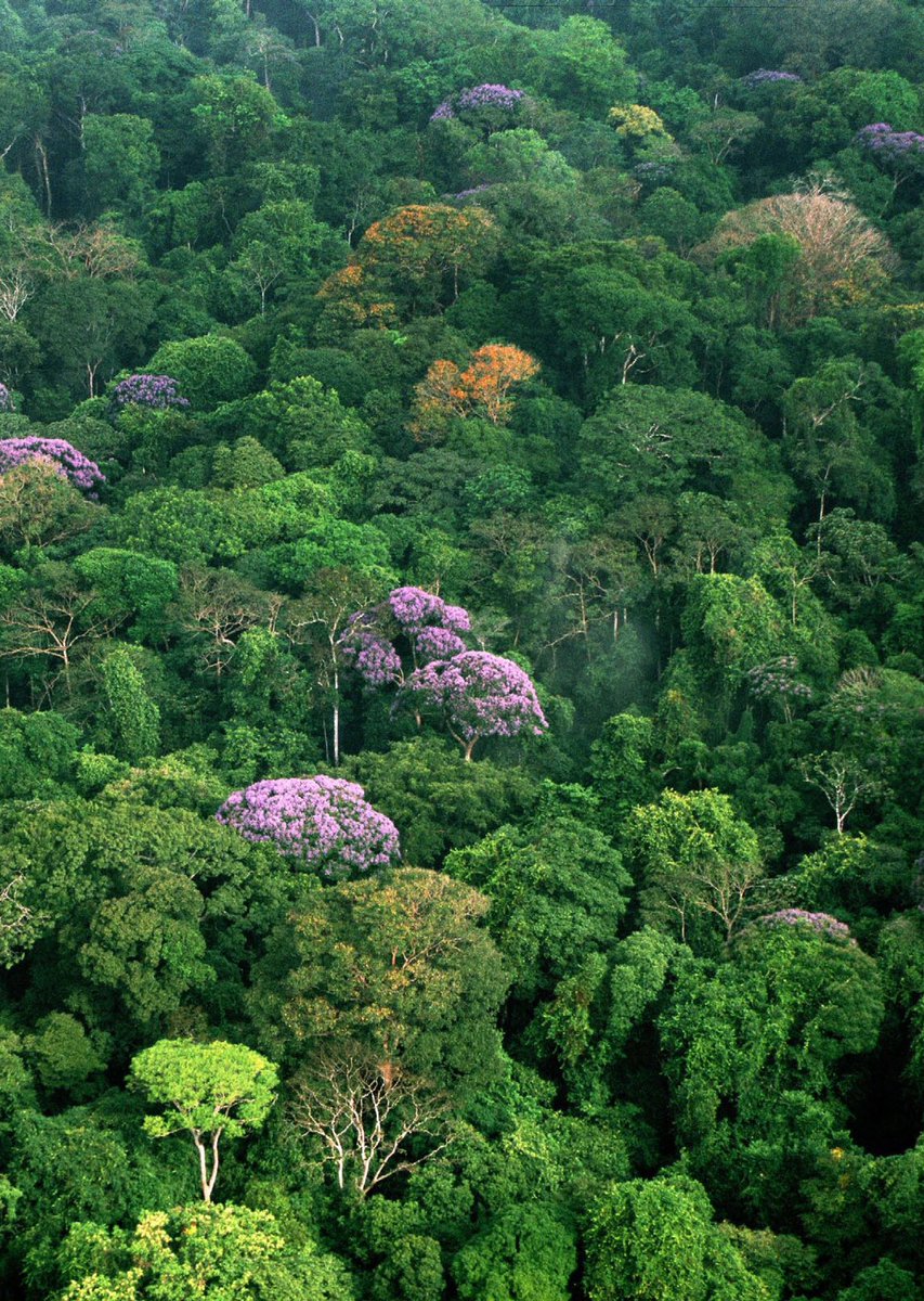 ALBA_System's tweet photo. Nature has been successfully and sustainably solving problems for billions of years. 

We want to help #learners develop an intuitive understanding of how #nature works. https://t.co/A1JVo0omgX