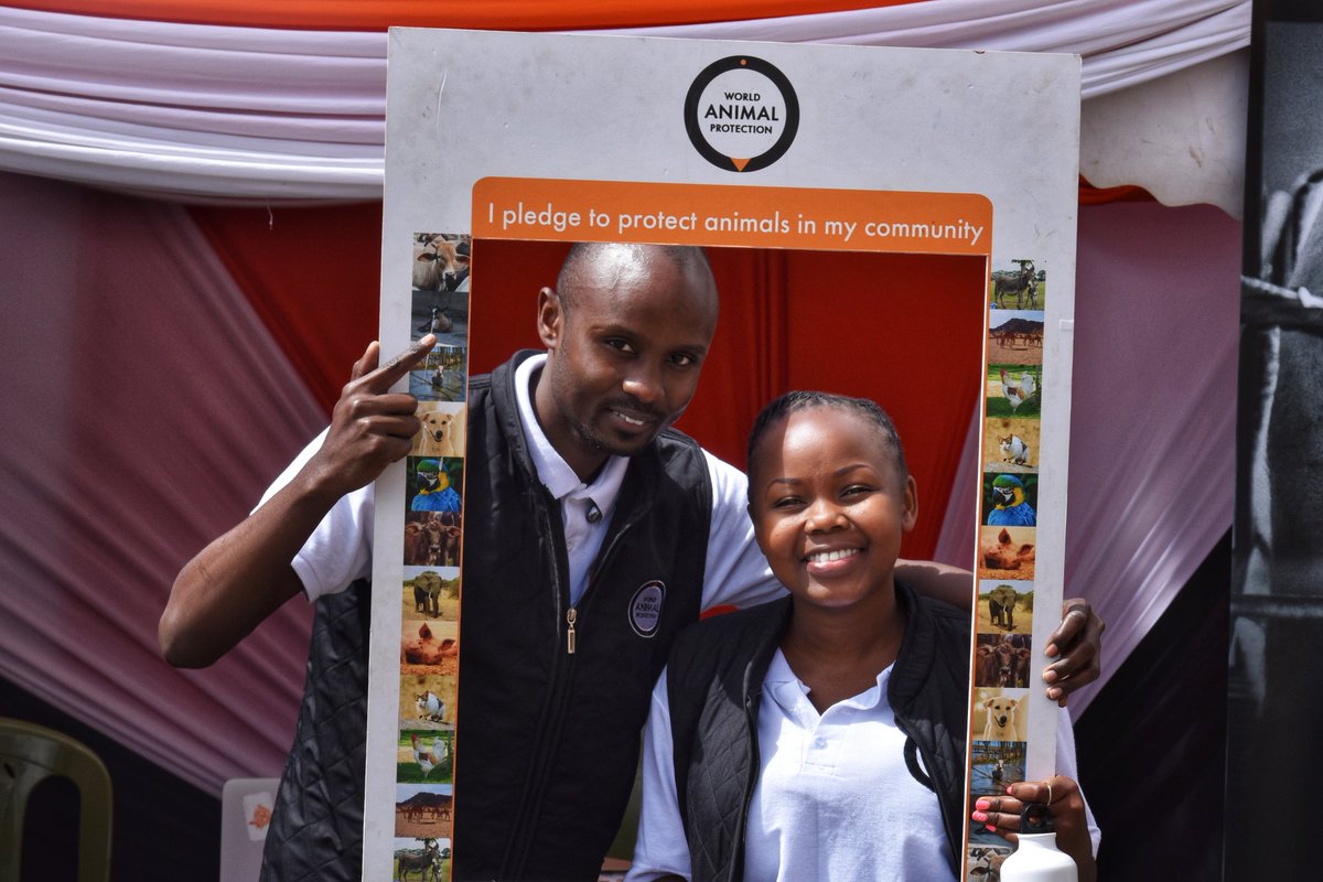 As we celebrate the international #WorldEggDay in Kenya you can join us in pledging to help animals in our communities by sending the word "JOIN" to 40975 <a href="/MoveTheWorldAF/">World Animal Protection Africa</a> <a href="/MoveTheWorld/">World Animal Protection</a> <a href="/wameyokw/">Kenneth Wameyo 🇰🇪 BVM</a>