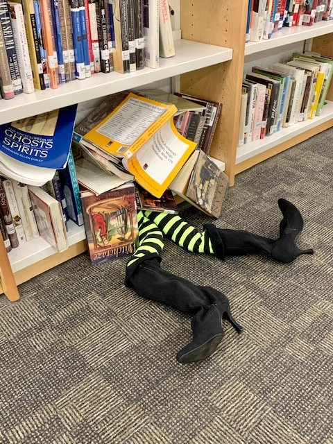 NNHSLibrary's tweet image. The recent Nor&apos;easter redirected a visitor to the LLC. #halloweeninthelibrary #halloweenfun #halloween