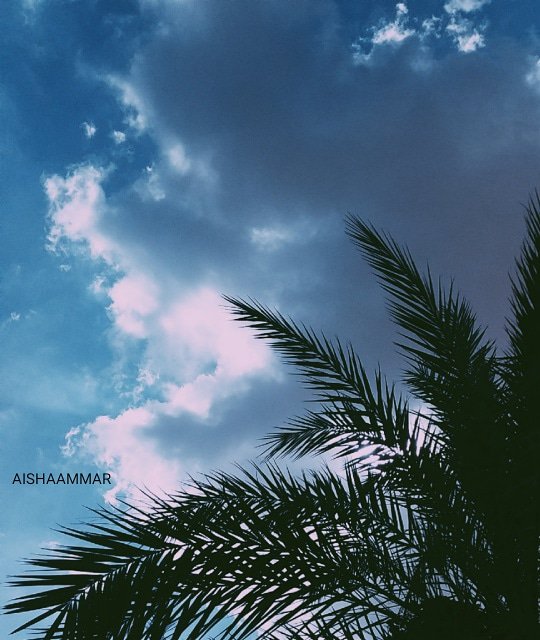 aishaammar8's tweet photo. -
قالﷺ : حَيْثُمَا كُنْتُمْ فَصَلُّوا عَلَيَّ، فَإِنَّ صَلَاتَكُمْ تَبْلُغُنِي !🌸

#الكاتبـة_عائشة https://t.co/XiLsgCOz3o