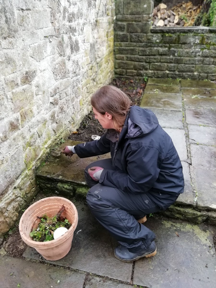 GardenCardiff's tweet image. We were so lucky with the weather! A few showers throughout the morning then at lunchtime it started POURING down. Thanks to @greeningourcity for joining the regular gardeners #rainingoutside  #autism #learningdisabilities #volunteering @InnovateTrust @wcvacymru @StFagans_Museum