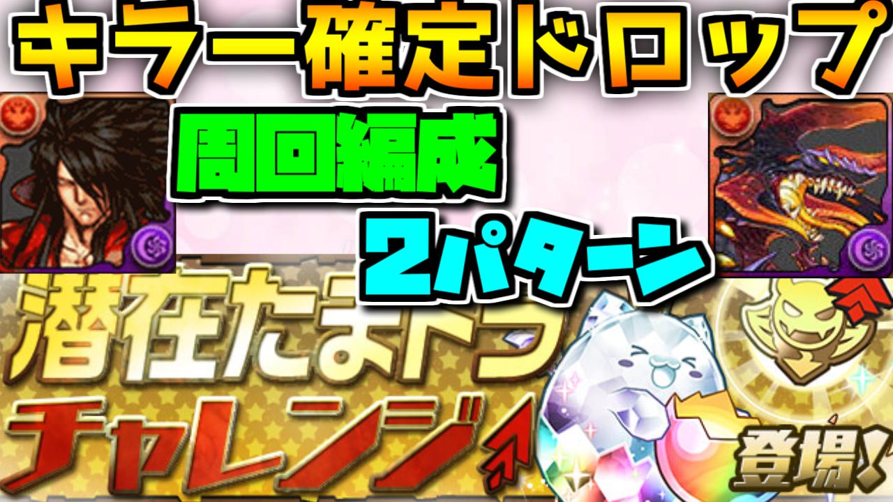 ゆうこる 1周2分 Lv4は 50 で神orドラゴンキラー Lv3は50 で悪魔or体力キラー 外れてもキラー1種は確定 スタミナ余裕ある人は超おすすめイベントだから是非 キラー確定ドロップ 潜在たまドラチャレンジ 周回編成紹介 Lv4 Lv3 パズドラ T Co