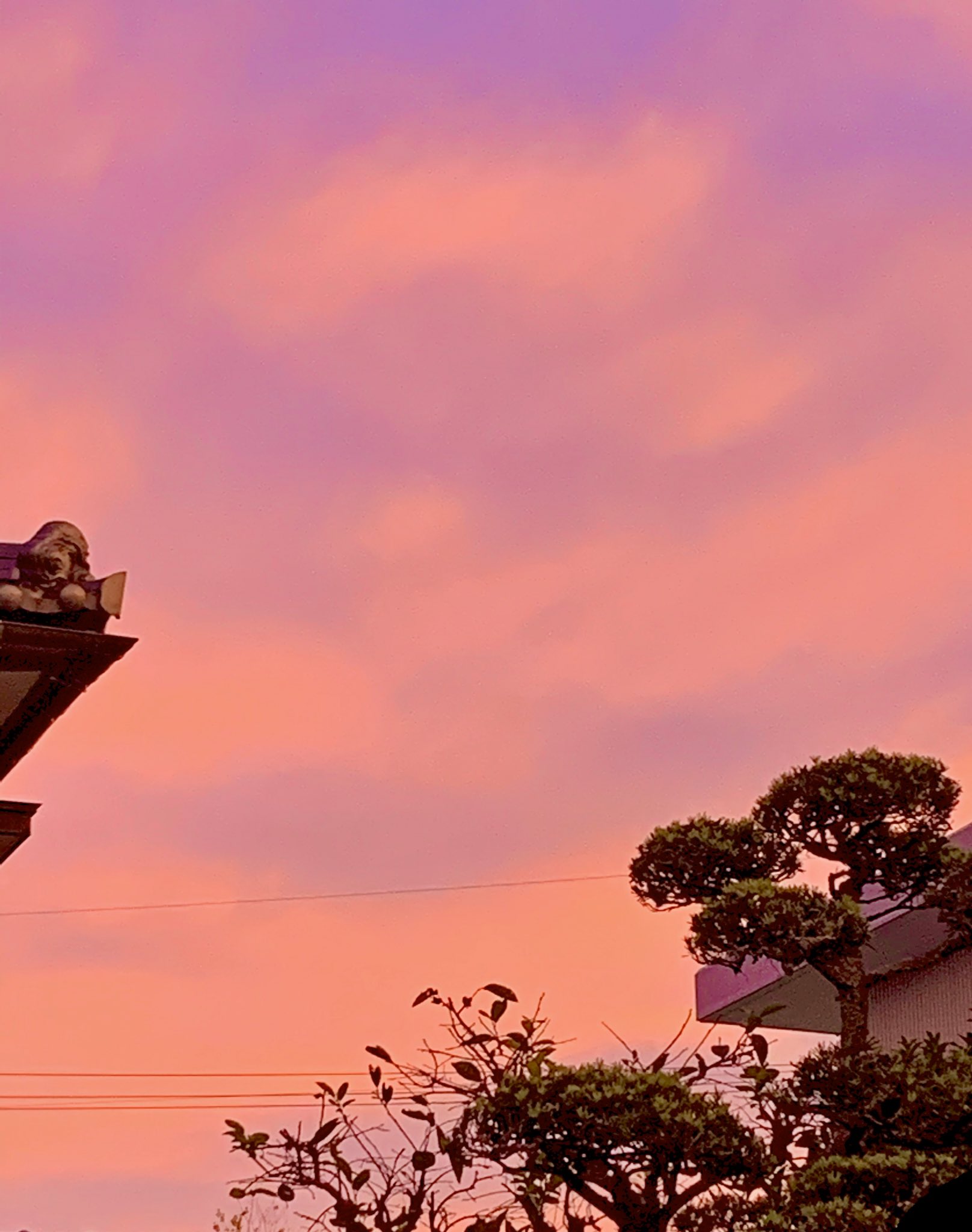 りお 空 空色が綺麗 ピンクオレンジと紫 な夕焼け 空 イマソラ 雲 空色 ピンクオレンジ 紫 キュート 夕焼け 綺麗 Sky Sunset Cloud Skycolor Pinkorange Purple Cute Beautiful T Co P7e3xlatvm Twitter