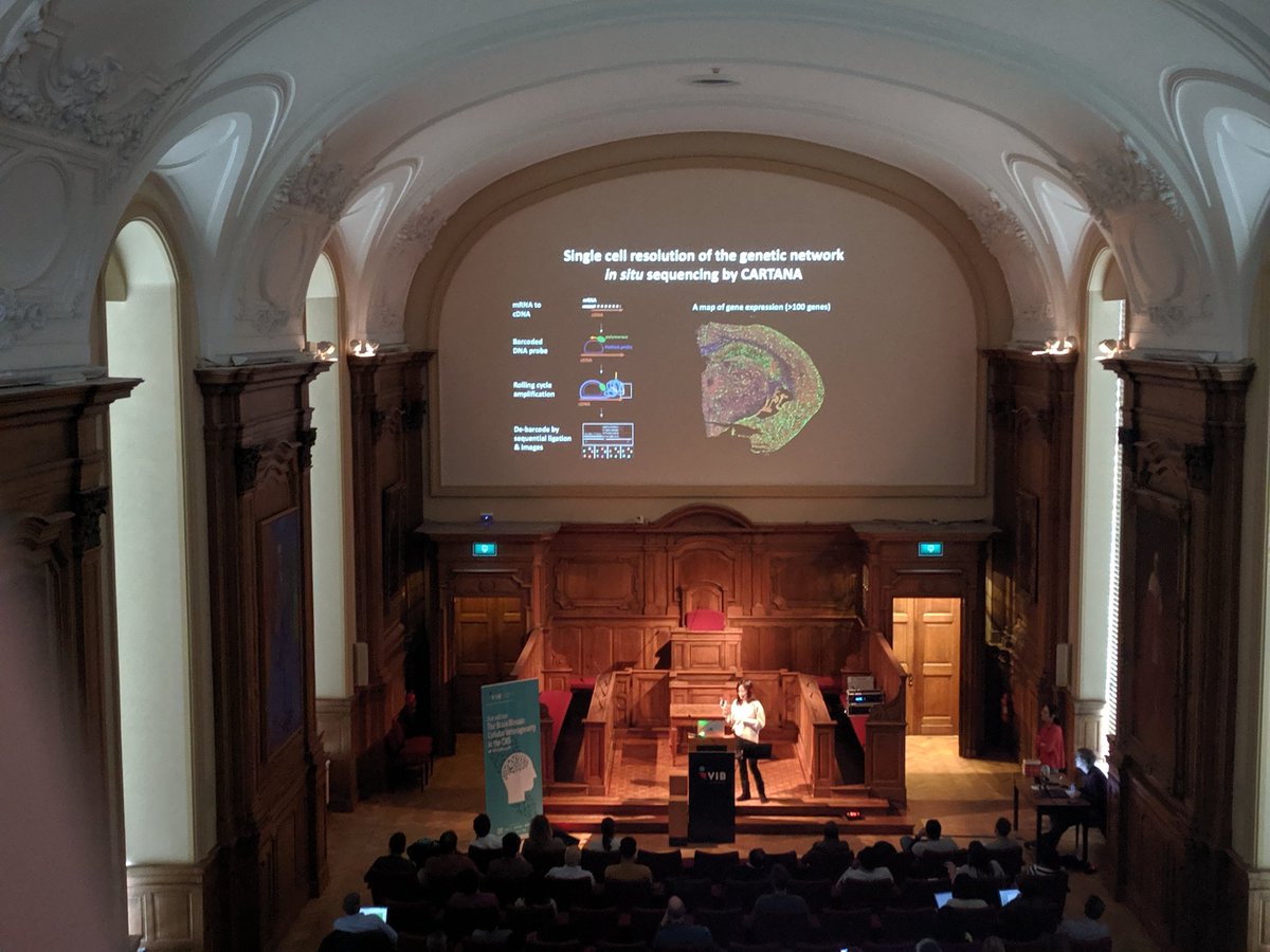 Thrilled to see presentation from <a href="/DeStrooperLab/">De Strooper Lab</a> using <a href="/CARTANAbio/">CARTANA</a> #insitusequencing. Proud to be part of such exciting project