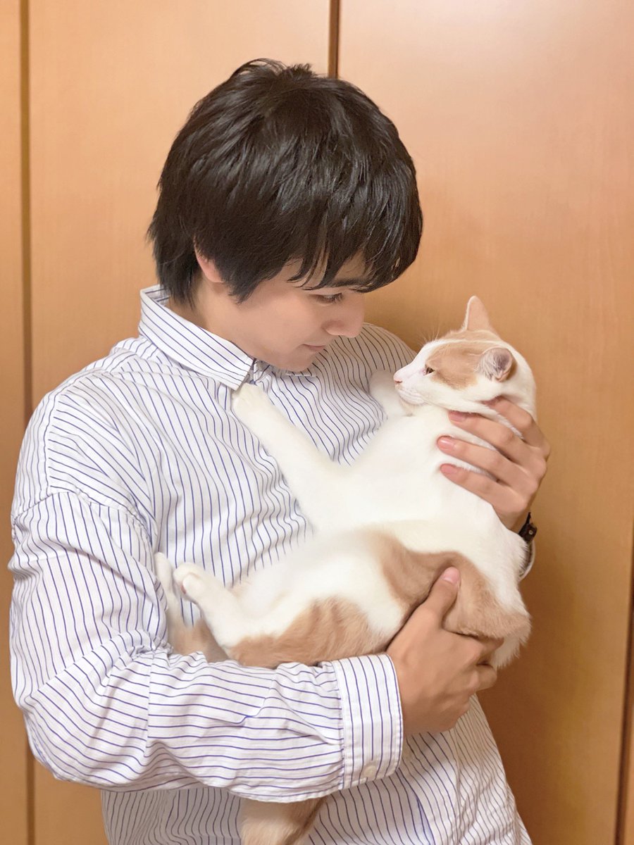 本田剛文の学歴が凄い 大学はどこ 実家の話題や彼女の噂の真相は 話題に困る日々が無くなるブログ