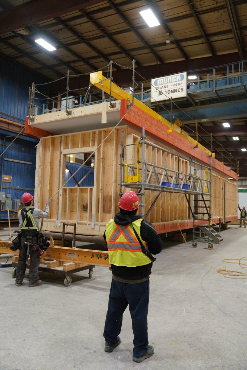 Komplete Modular tweet media