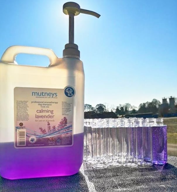 WeAcceptPets's tweet image. Mutney's Pet Care has manufactured &amp;amp; supplied high-quality dog grooming equipment for almost 25 years. 
weacceptpets.co.uk/bus/mutneys-pe…
#Prees #Shropshire #England #PetAccessories #Pets #Dogs #DogGroomer #PetSupplies #VeganFriendly #MadeInTheUK #PetGroomingProducts