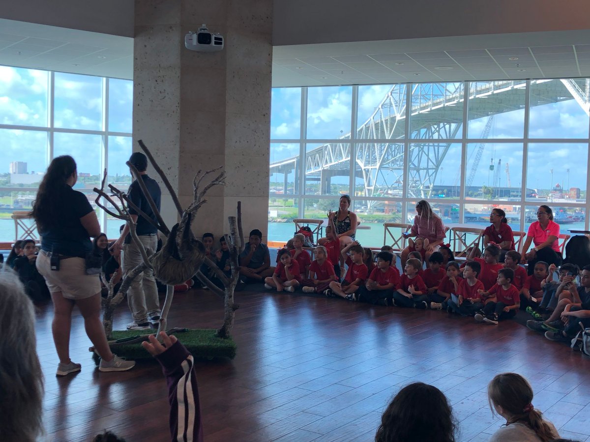 IWACCNews's tweet image. Our MEJ2 students had a great time on their field trip to the aquarium last week! See more photos on our gallery: ow.ly/QQVN50wGPvy