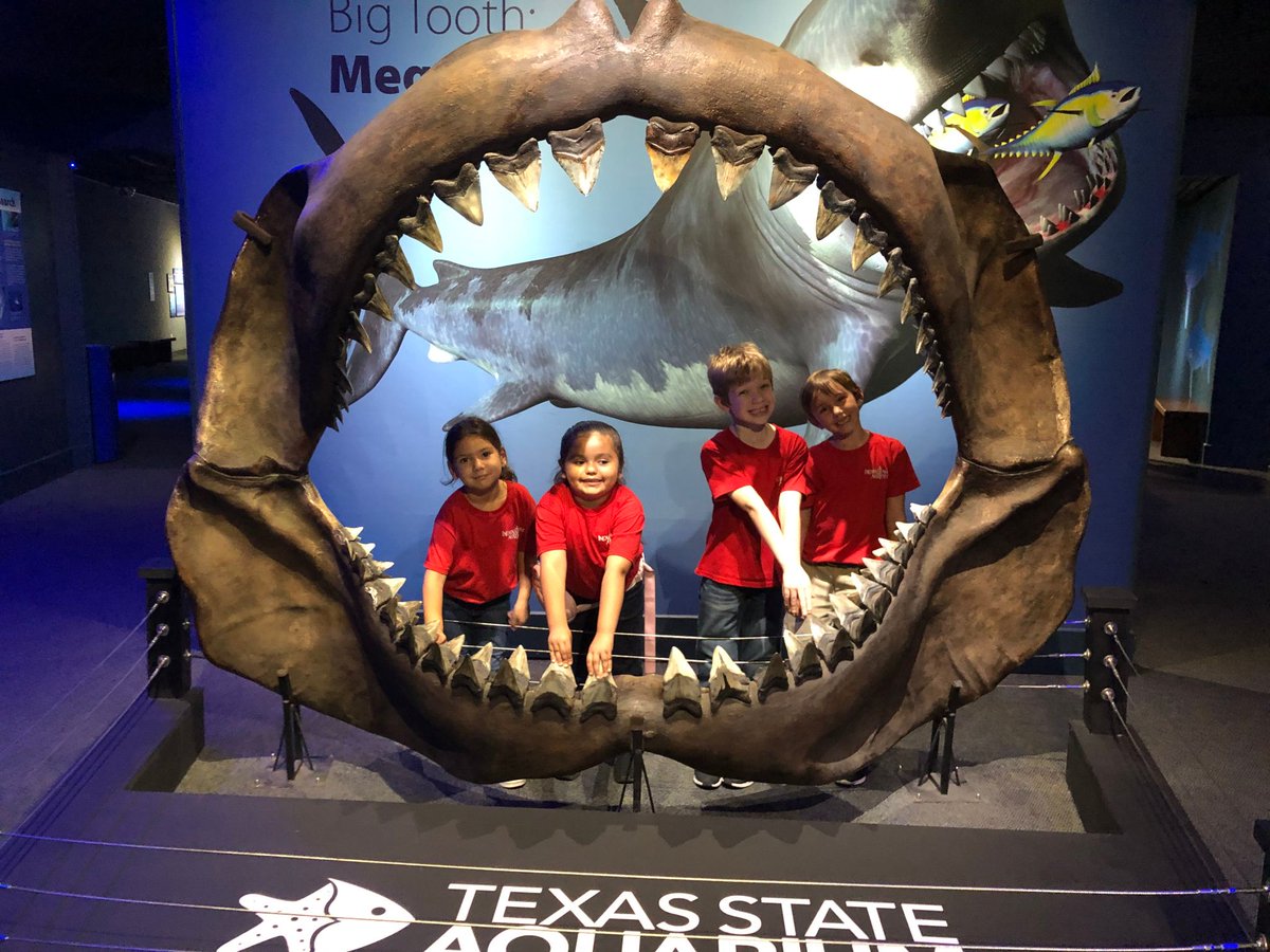 IWACCNews's tweet image. Our MEJ2 students had a great time on their field trip to the aquarium last week! See more photos on our gallery: ow.ly/QQVN50wGPvy