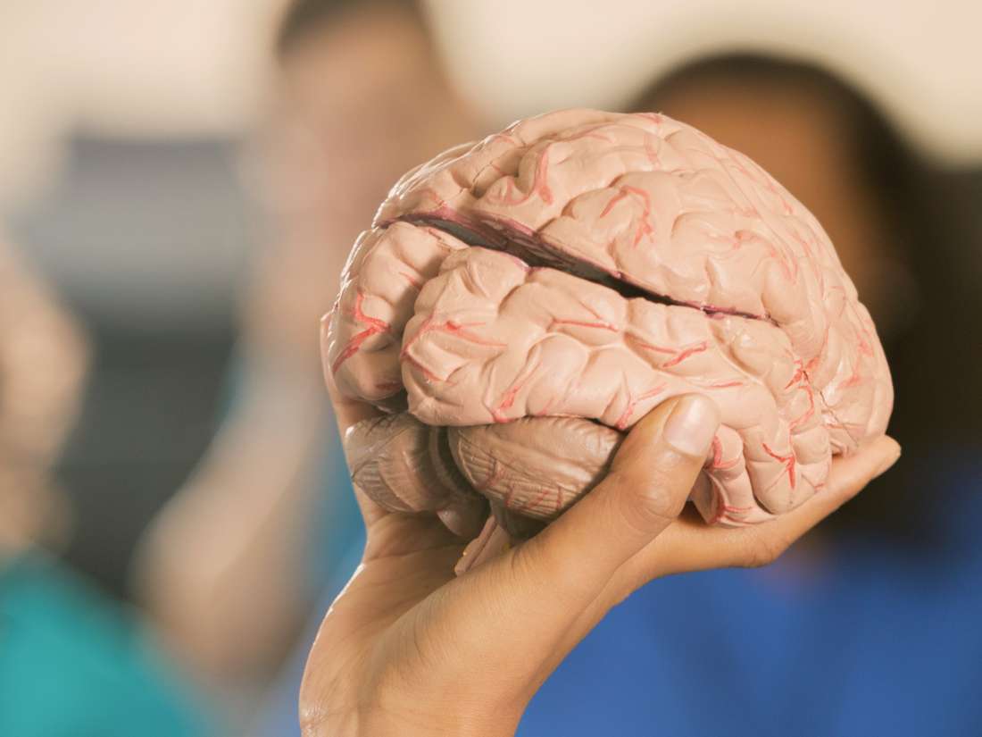 Paramount360's tweet image. Medical News Today: What are the 12 cranial nerves? dlvr.it/RFzWDX