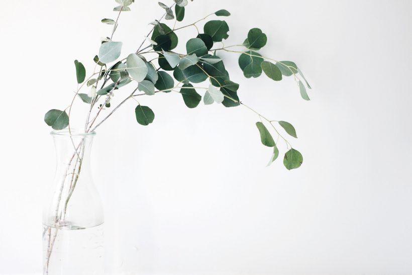 You are not #sustainable. You could be MORE sustainable, though 🌱✊
With the "S" being thrown around we feel it's important for brands to be accurately communicating how "sustainable" they really are. 
buff.ly/35djYxZ