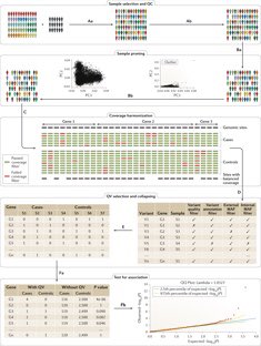 MuinJKhoury's tweet image. There are existing standards for the analysis of common variants in genome wide studies.  However, inferring the role of rare variants in disease poses many challenges that require new approaches and standards.  Excellent @NatureRevGenet review. nature.com/articles/s4157…