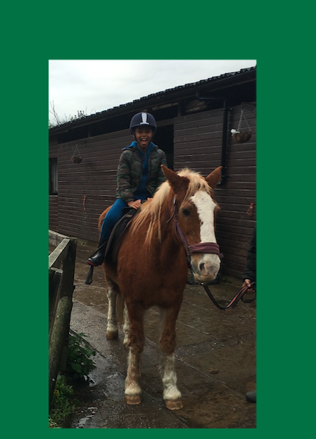 St Patricks Primary (@st_patricks) on Twitter photo Forget the rain, there's always sunshine at
<a href="/shylowen/">Shy Lowen Sanctuary</a> stables! We had fun as always! Forget the rain, there's always sunshine at
<a href="/shylowen/">Shy Lowen Sanctuary</a> stables! We had fun as always!