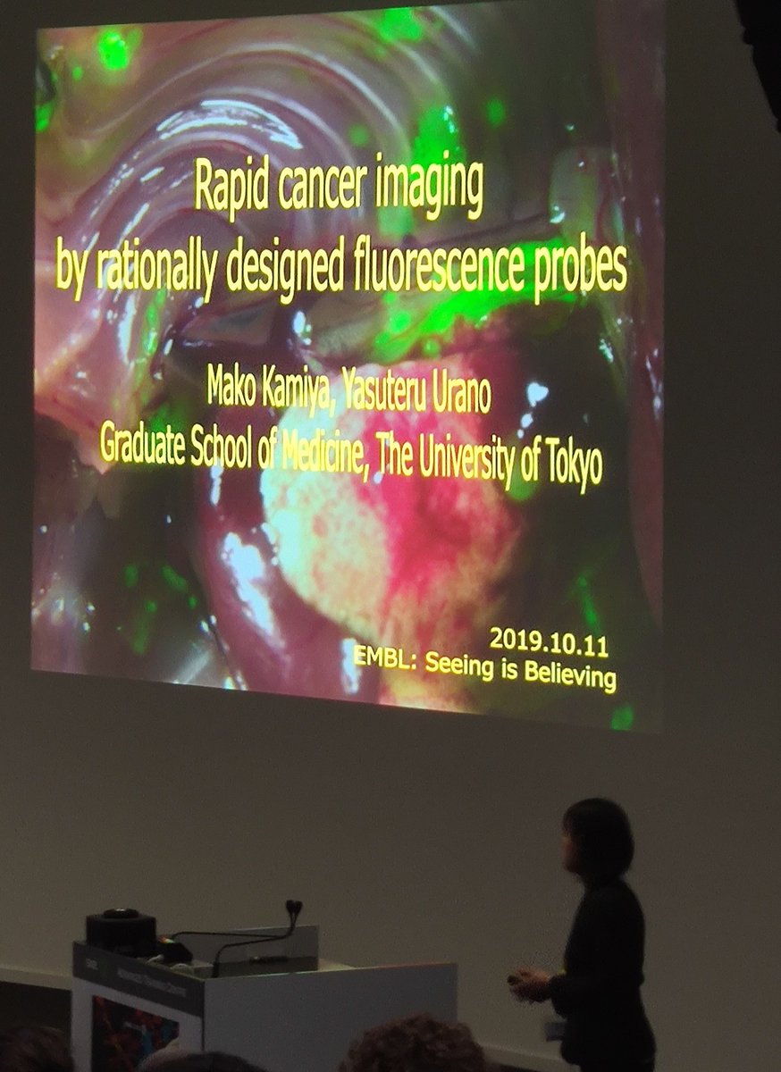 KyongFAM's tweet image. New #fluorogenic probes for cancer #imaging from Urano lab presented by Mako Kamiya #EESImaging