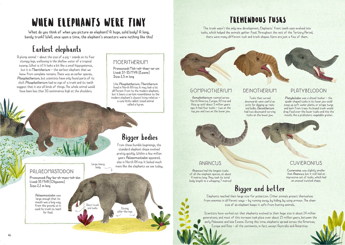 The Artworks tweet media