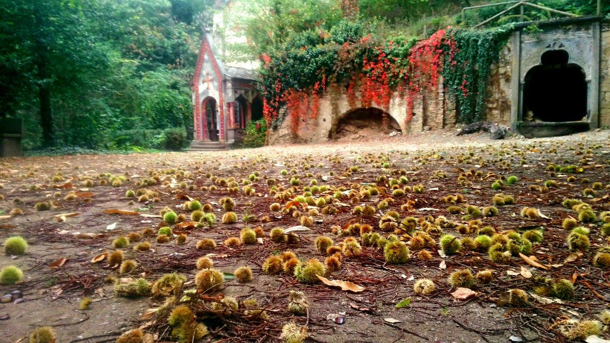 cuNeogotico's tweet photo. #autunno al #parco #neogotico del #Castello del #Roccolo #Busca @provinciacuneo #park #gothic #Revival https://t.co/8lGmOGXoLd