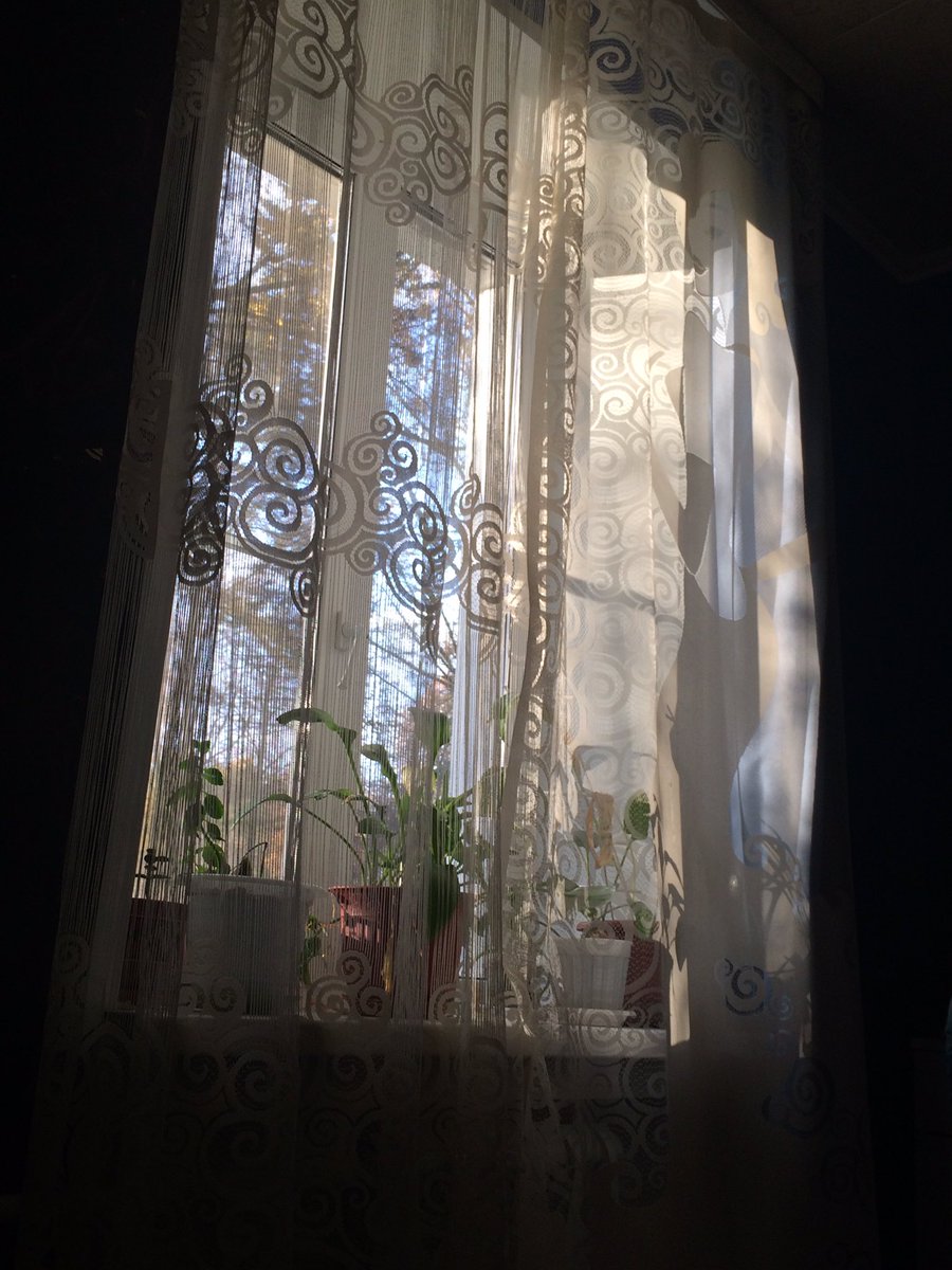 Free_as_Birds04's tweet photo. It’s so beautiful, yes? I’m delighted😍 https://t.co/UzvUldbp8T