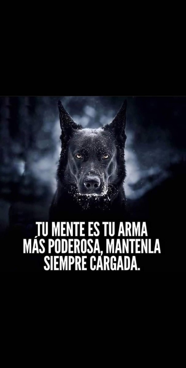 Hagomez20's tweet photo. Invierte en tu mente y un dia ella te devolvera con creces todo aquello que un dia gastaste. @platzi es mi plataforma preferida y con la que esperó crecer a niveles inimaginables. 👨‍💻🔝📝⬆️🔊💵😇😎😉💪 @platzijobs @PlatziTeam https://t.co/yVvOUc5gCj