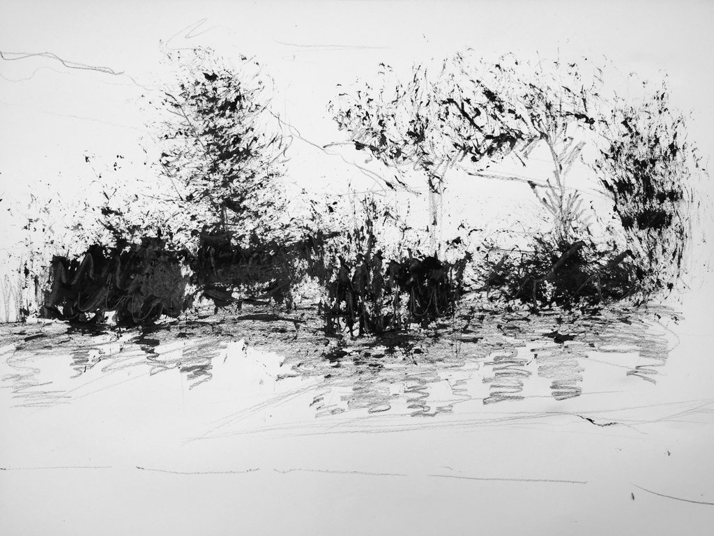 gracekelleher95's tweet photo. Week 2 drawing workshops with our MA1 students. A very freeing exercise lead by @CamillaAllen with some fantastic results! @LandscapeSheff #chooselandscape #shefunilife https://t.co/7mT1yfGJ9q