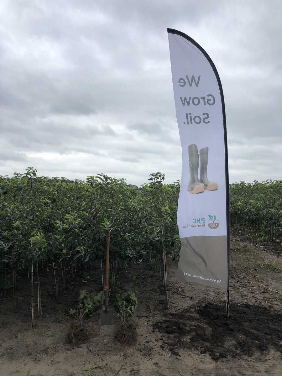 Stefan_Even's tweet photo. Bijeenkomst georganiseerd door @DelphyNL in de vruchtboomkwekerij. Mooie resultaten met @PHC_PlantHealth #CompetePlus en #Mycorrhiza op wortelkwaliteit! En daarnaast een super gezonde gewasgroei door uitsluitend bemesting met @PHC_PlantHealth #OPFgranulaat. https://t.co/U4Qpb7zNJw
