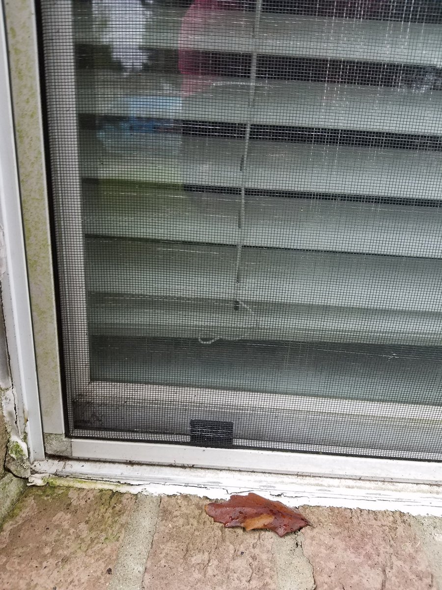 windowscreenmfg's tweet photo. Attn Roofers, GC's, Painters 
We build replacement Screens for you or we offer full turnkey Services!!
Call us and see how buying Wholesale can bump your profits up!
713-370-5957 https://t.co/QY76HPKN6R