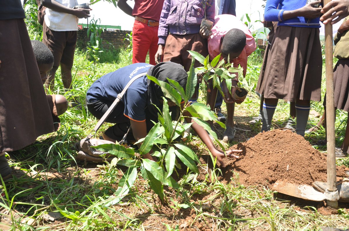 MCFAlumniUg's tweet photo. So far 390 trees have been planted, 135 designed and coated metallic pieces with the environmental conservation and awareness messages have been erected in the school compounds of the four schools. Thank you #WesternChapter for the wonderful #ChapterProjects initiative. #MFABU https://t.co/HJeozuiD5Q