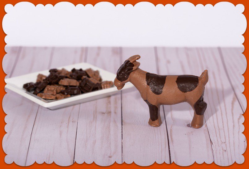ChocolateGoat's tweet photo. Now through Monday all of our goat items are 20% OFF including; chocolates, soaps and lotions, apparel, gift-ware and more. Shop in store or online. Gotta love a goat! https://t.co/IB2KhBxxaW