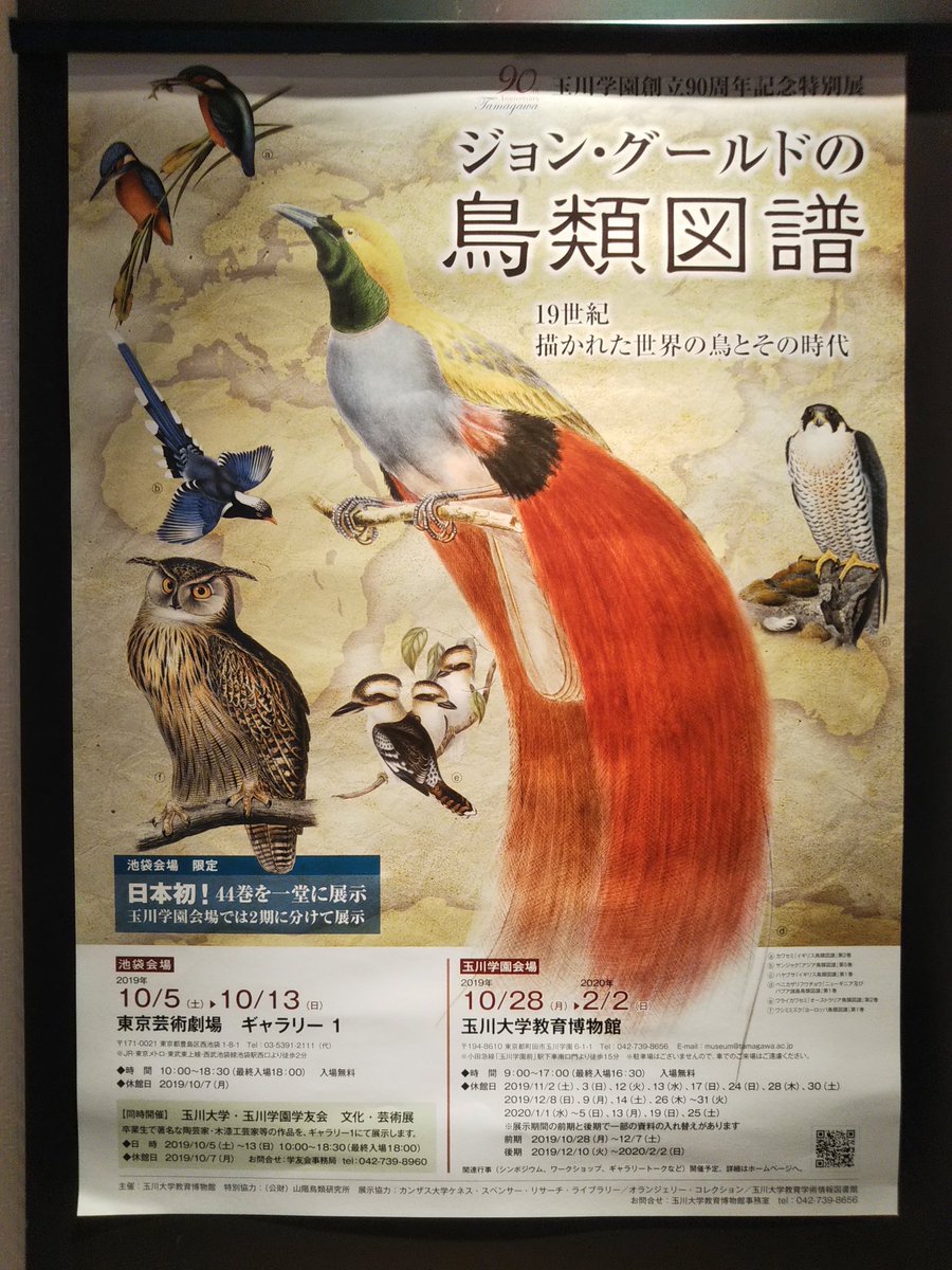 黒織部 Pa Twitter ジョン グールドの鳥類図譜 トゲハシハチドリの原画はなんと露出展示 これは喉元あたりの金色が反射して光るのをよく見てもらうためだとか ギャラリートークで動かしてくれたけど すごい金色だった ちなみにこれ荒俣宏の旧蔵品らしい 玉川 黒織部 Pa Twitter ジョン グールドの鳥類図譜 トゲハシハチドリの原画はなんと露出展示 これは喉元あたりの金色が反射して光るのをよく見てもらうためだとか ギャラリートークで動かしてくれたけど すごい金色だった ちなみにこれ荒俣宏の旧蔵品らしい 玉川
