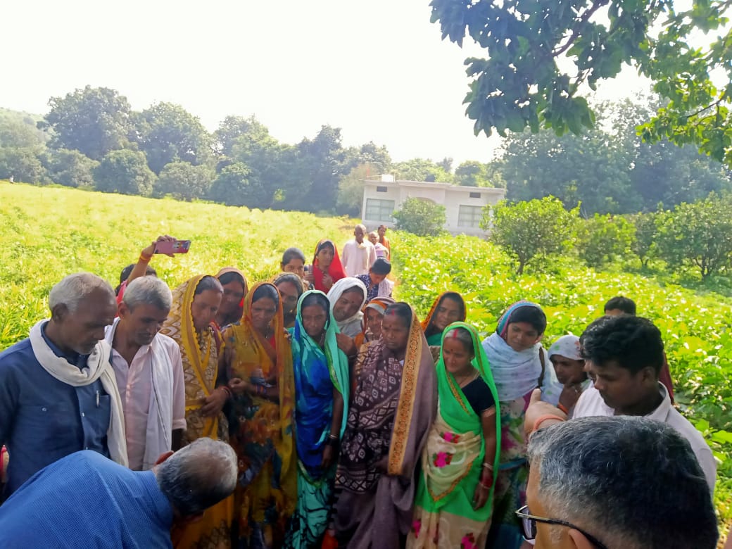 arunlodhi108's tweet photo. #इफको जबलपुर द्वारा किसान भाई बहनों को पौधे भेंट किये भ्रमण के दौरान हमने जो सीखा है निश्चित ही उससे हमारी खेती की पद्धति में सुधार होगा और बढ़िया परिणाम दिखेंगे ।
#मेरा_गाँव_बदल_रहा_है_आगे_बढ़_रहा_है
@digitalvillage7 #Dundi #जबलपुर
@rsprasad @drusawasthi @dintya15 @CSCegov_ https://t.co/hQz0oix5Ud