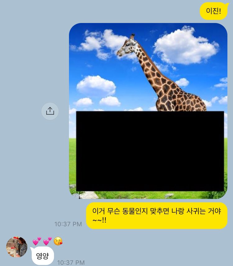 FinKL_CCP's tweet photo. 진율 / 이거 무슨 동물인지 맞추면 나랑 사귀는 거다 https://t.co/c5aaLaW56m