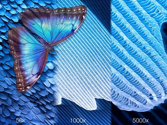 Textile Institute on Twitter: Textile Institute on Twitter: