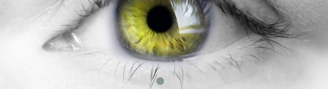 touchOPHTHALMIC's tweet image. INSIGHT - MINIMALLY INVASIVE GLAUCOMA SURGERY – THE NEXT STEPS; Authors: Katrina Mountfort, Touch Medical Media, Goring-on-Thames, UK; Read the full insight here: touchophthalmology.com/insight/minima…

#glaucoma #OpenAngleGlaucoma #IntraocularPressure  #LaserTrabeculectomy