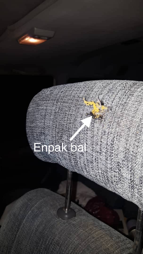 Depi dènye tan sa yo lopital, anbilans, pènonèl yo, doktè ki sou wout pou al sove lavi, ap sibi tout kalite vye zak agresyon.

Pwoteje Yo, Pa itilize Yo pou regle lòt koze. Kondisyon pou yo fonksyone nan tan nòmal te deja difisil, kounyè a se enposib yap fè pou prezève lavi w.