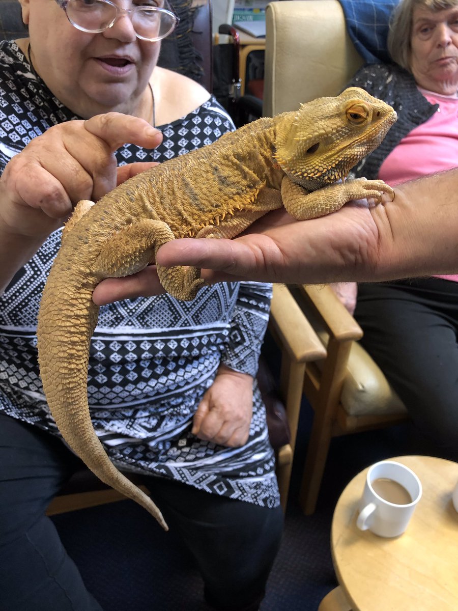 AgeUKTunWells's tweet photo. Some more pics of everyone enjoying the visit from Michael at Creepy Claws this afternoon!! 🕷🐍🦎😎👍🏻 #LovingIt #AgeingWell https://t.co/XKWUNf4V7A