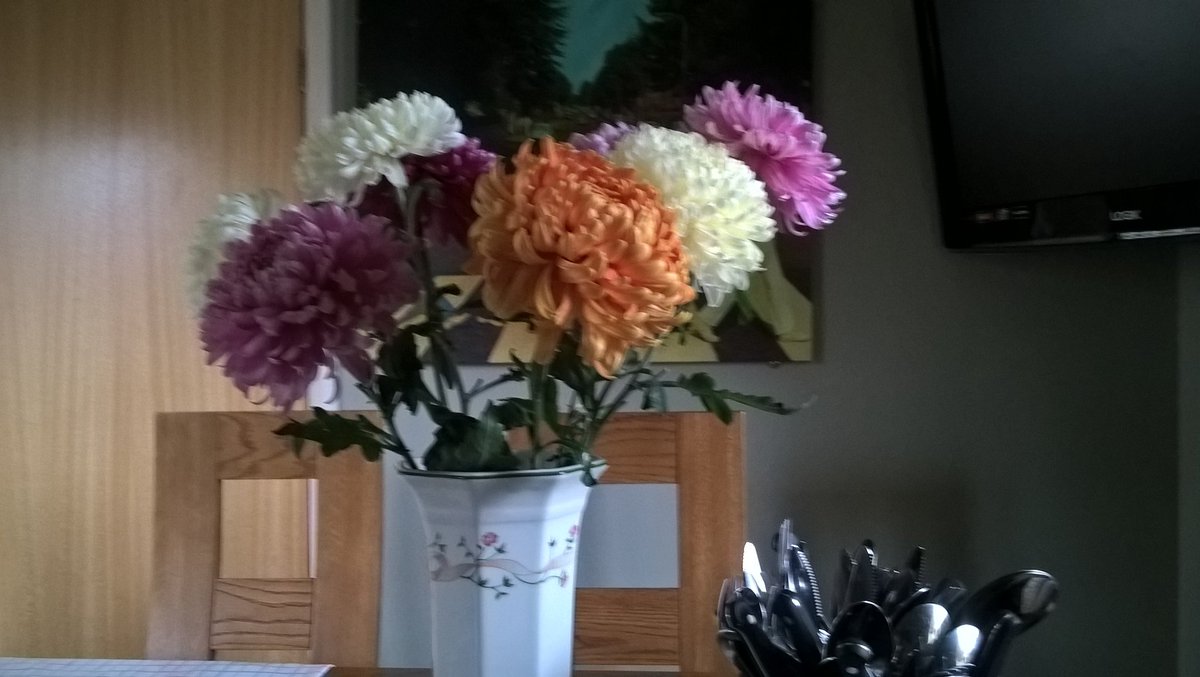 Back growing Chysants again this year turned out good.