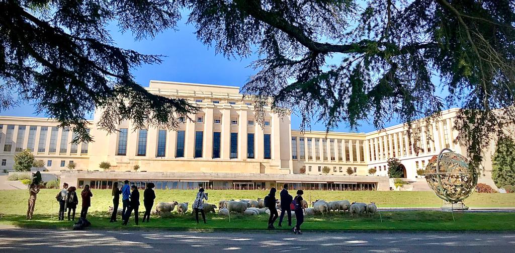 sophmalbert's tweet photo. "Votre mission, si vous l'acceptez : rendre la bibliothèque plus attractive que les moutons de la caf" #hegdesign https://t.co/Dj4exxfFC1
