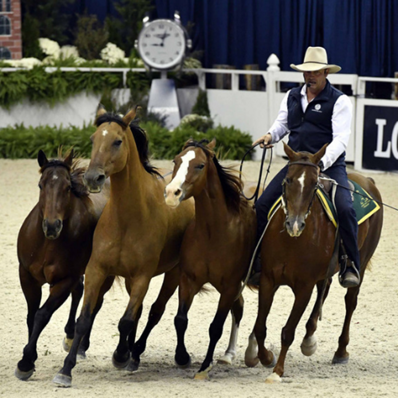 BOHorsesPodcast's tweet photo. Don't miss out on today's Season 2 finale! This episode has been chosen by you wonderful listeners. Check it out for highlights from some of your favorites, Guy McLean, Stacy Westfall, Gillian Larson, and King Ranch's James Clement!
@StacyWestfall

#BecauseOfHorses #HorsePodcast https://t.co/V45q48ttiQ