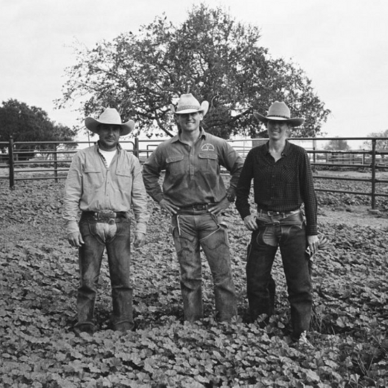 BOHorsesPodcast's tweet photo. Don't miss out on today's Season 2 finale! This episode has been chosen by you wonderful listeners. Check it out for highlights from some of your favorites, Guy McLean, Stacy Westfall, Gillian Larson, and King Ranch's James Clement!
@StacyWestfall

#BecauseOfHorses #HorsePodcast https://t.co/V45q48ttiQ