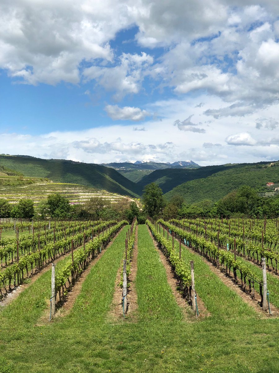 Lena Park tweet media