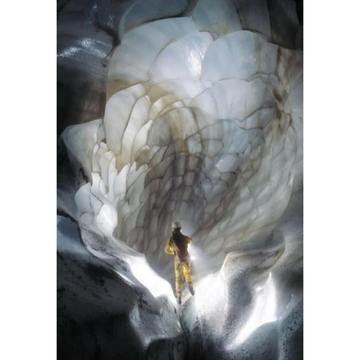 The true art of healing comes from nature.

chagalife.co.uk

#terrencemckenna #brainpower #focus #vegans #whatveganseat #veganbreakfast #veganism #veganpower #veganlife #vegangirl #veganbodybuilding #recipes #recipeideas #healthyrecipes