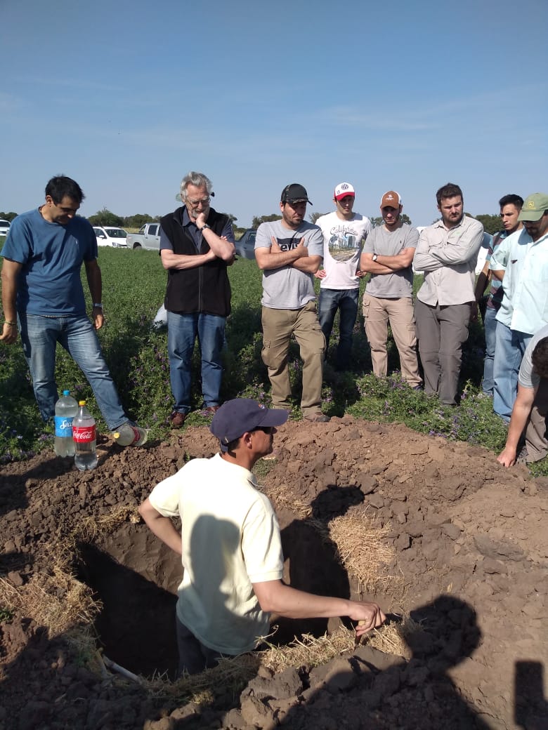 #Ahora - Taller a campo en el éjido urbano de Río IV: manejo de vicia, meliolotus y centeno como CC, con uso reducido de agroquímicos.